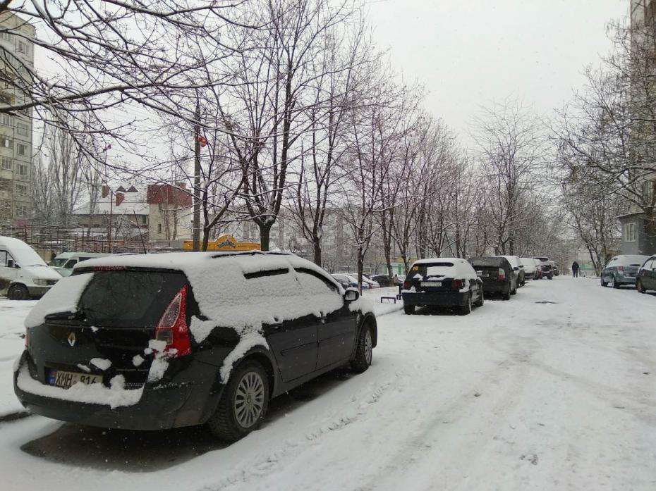 Агентство государственных услуг будет оформлять международные водительские права нового образца