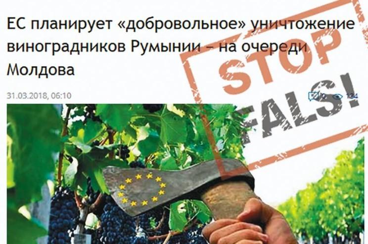 ФЕЙК: ЕС планирует уничтожение виноградников в Румынии, на очереди Республика Молдова