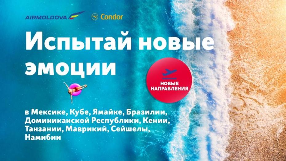 Air Moldova и Condor Flugdienst подписали между собой договор. Что это дает путешественникам?