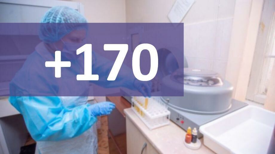 170-920×517