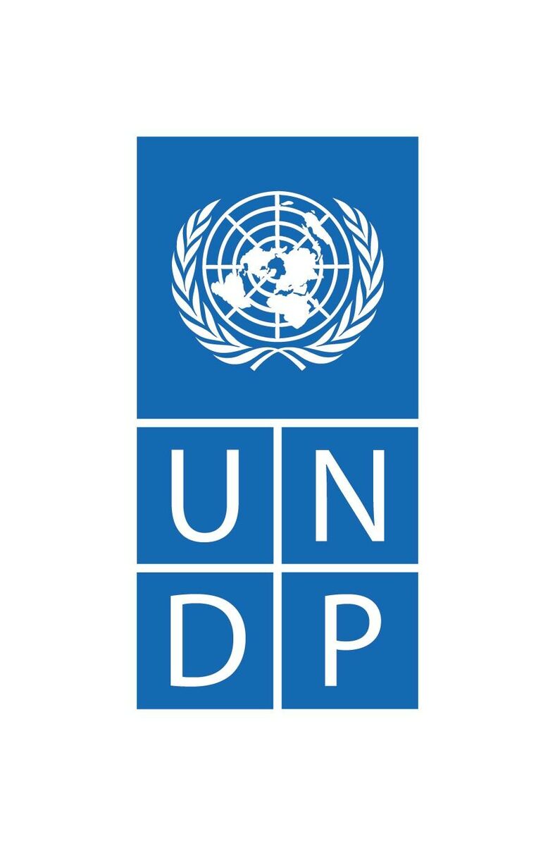 UNDP-Logo-Blue-Large - #diez на русском