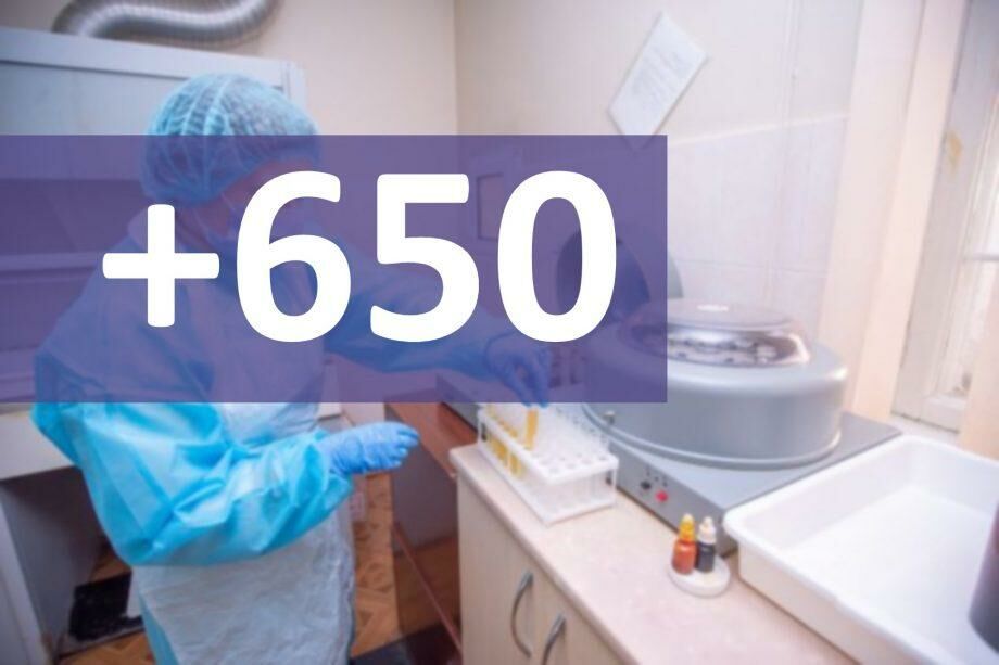 650