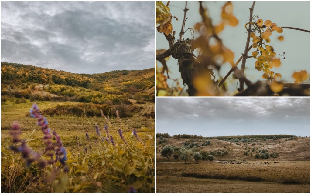 Осень в разных уголках Молдовы в фотографиях Михаелы Алайбы