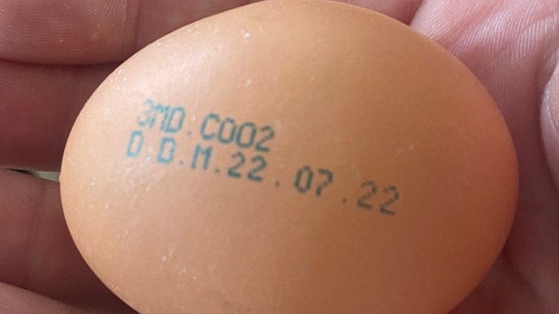 Партия яиц изъята из продажи в связи с обнаружением Salmonella Enteritidis в курином помете