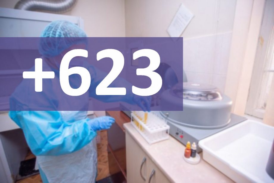 В Молдове за последние семь дней коронавирусом заразился еще 623 человека