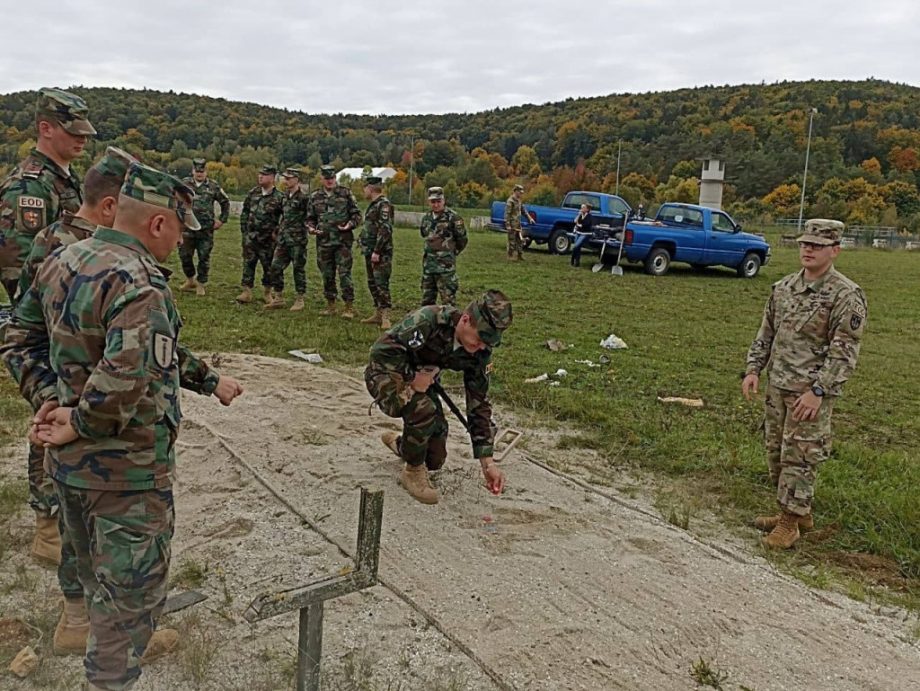 Более 100 солдат из Молдовы поедут на учения в военном центре в Германии