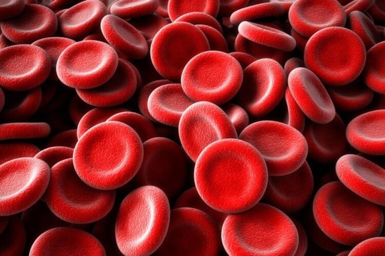 Японцы создали искусственную кровь, которая подходит всем
