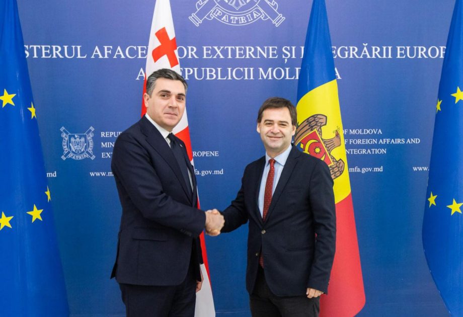 Молдова и Грузия ведут переговоры о создании прямого морского и речного маршрута