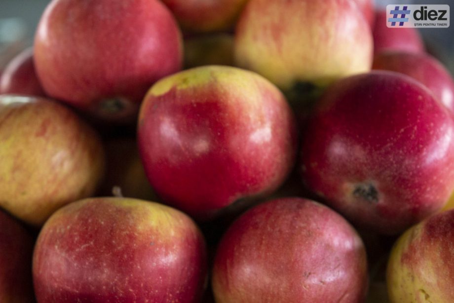 Молдова входит в число мировых лидеров по экспорту яблок. Яблочные сады занимают площадь около 56 тысяч гектаров