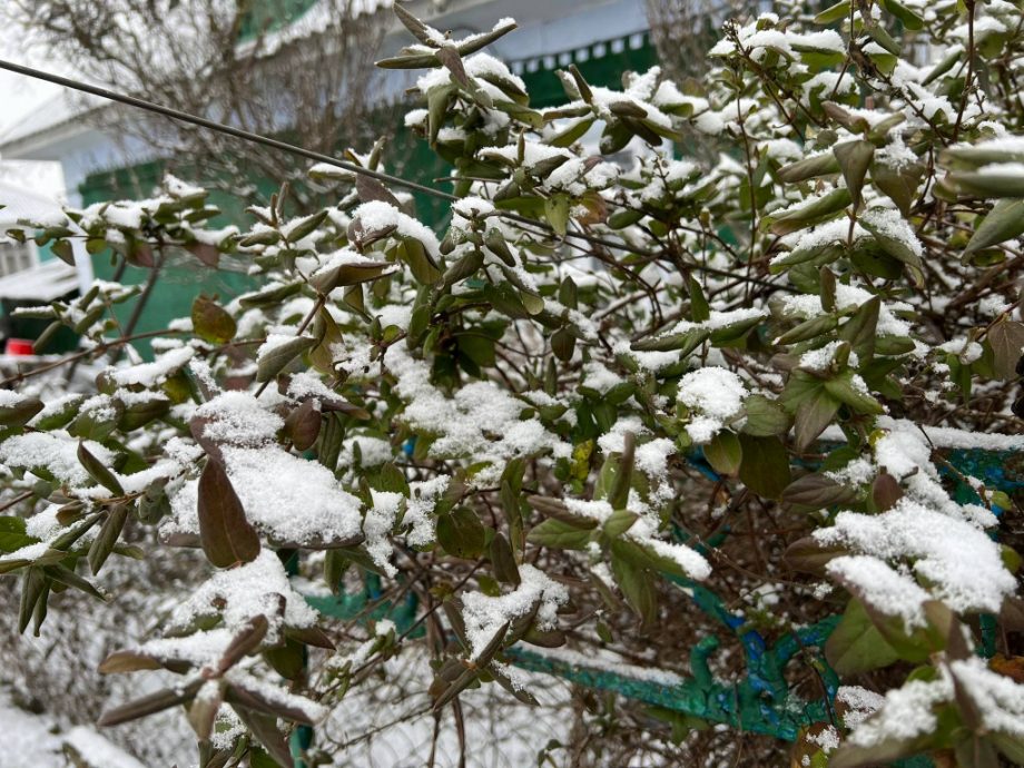 В Молдове синоптики объявили желтый код в связи со снегом