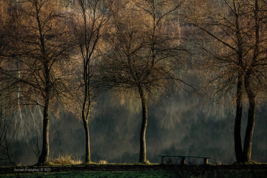 (фото) Зимние утра в лесу глазами фотографа Романа Фриптуляка