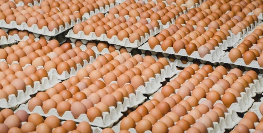 Молдова впервые начнет экспортировать мясо птицы и яйца в ЕС