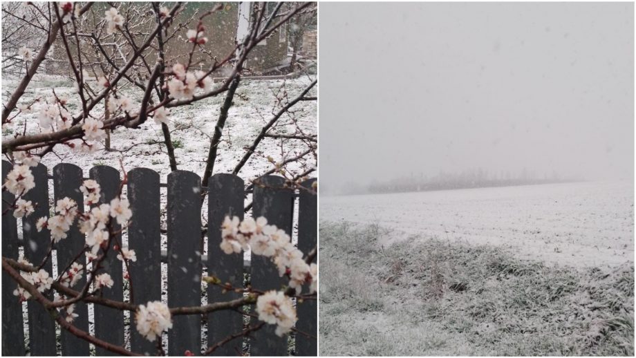 Зима посреди весны: на севере Молдовы идет снег