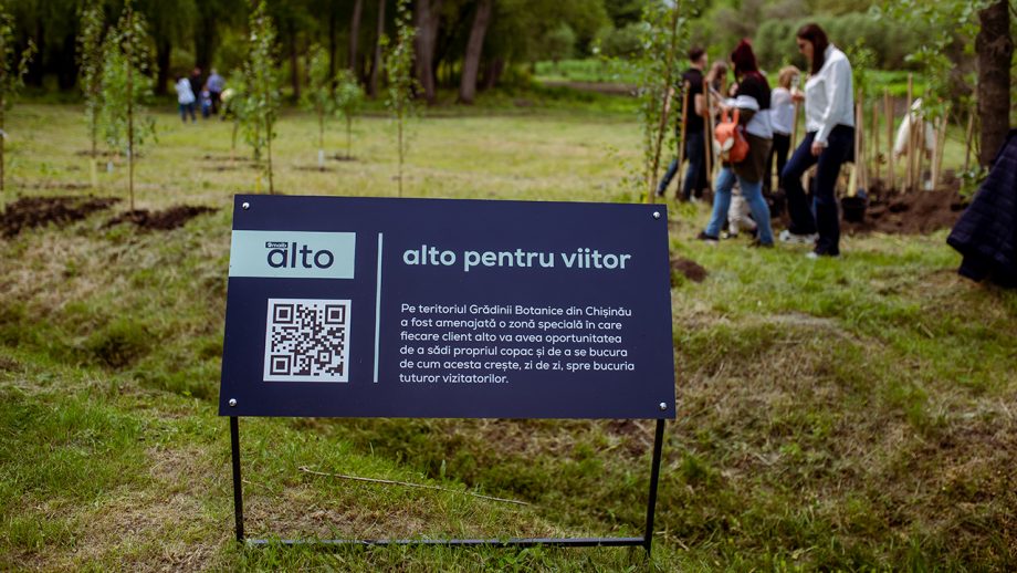 <strong>Alto для будущего – проект maib alto, связанный с молодостью, чистотой и процветанием</strong>