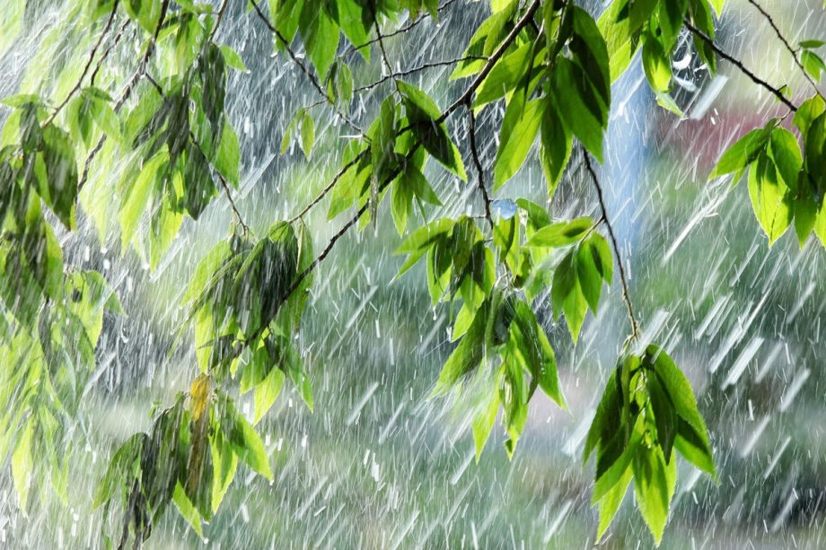 Дожди и грозы: какой будет погода в эти выходные