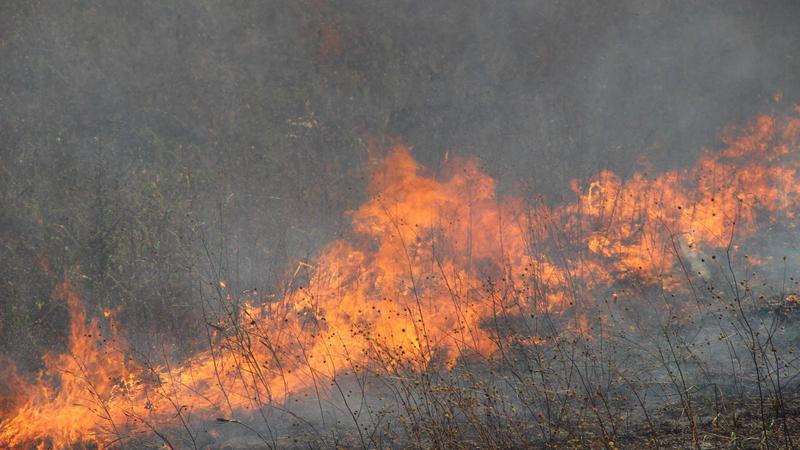 Желтый код. Синоптики предупредили о пожароопасности в северных районах Республики Молдова