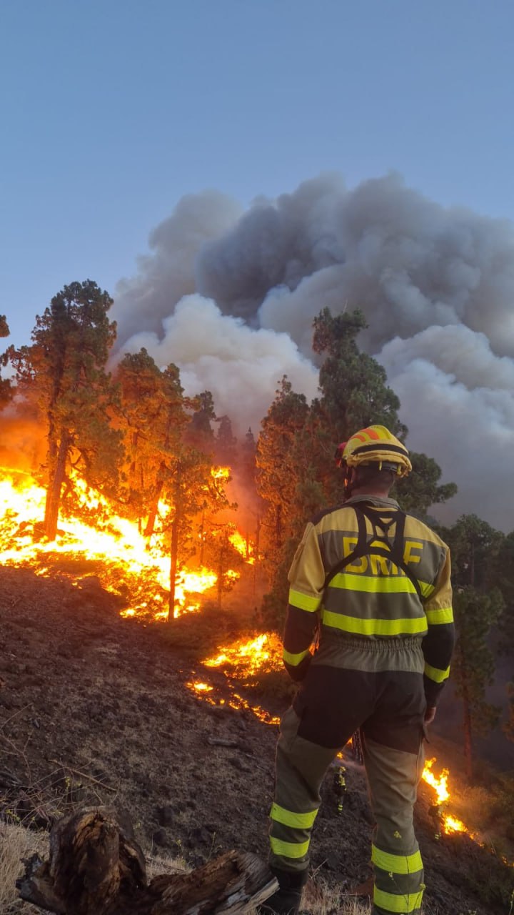 (фото) Лесной пожар на Канарах. Эвакуировано более 2500 человек