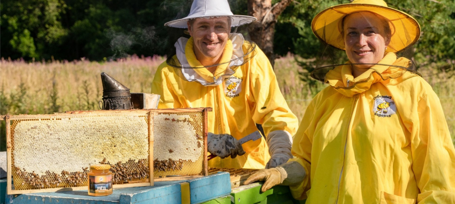Сегодня в Молдове отмечается Национальный день пчеловодства