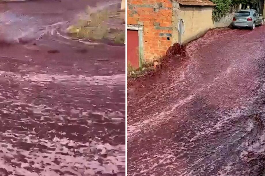 (видео) В португальском поселке несколько улиц затопило красным вином