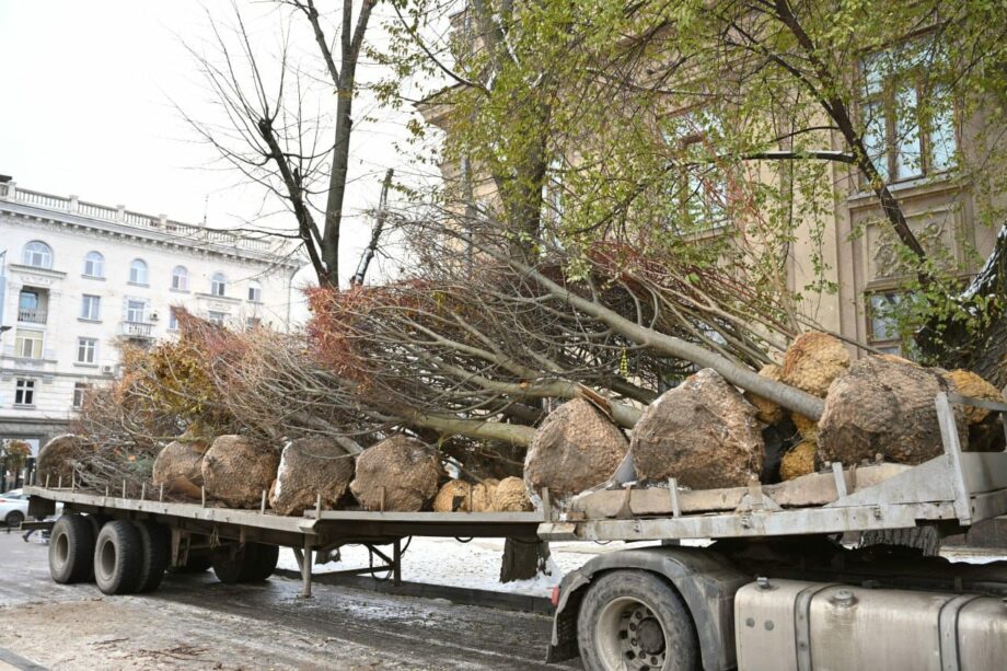 (фото) В столичном сквере «Михай Эминеску» посадили новые деревья