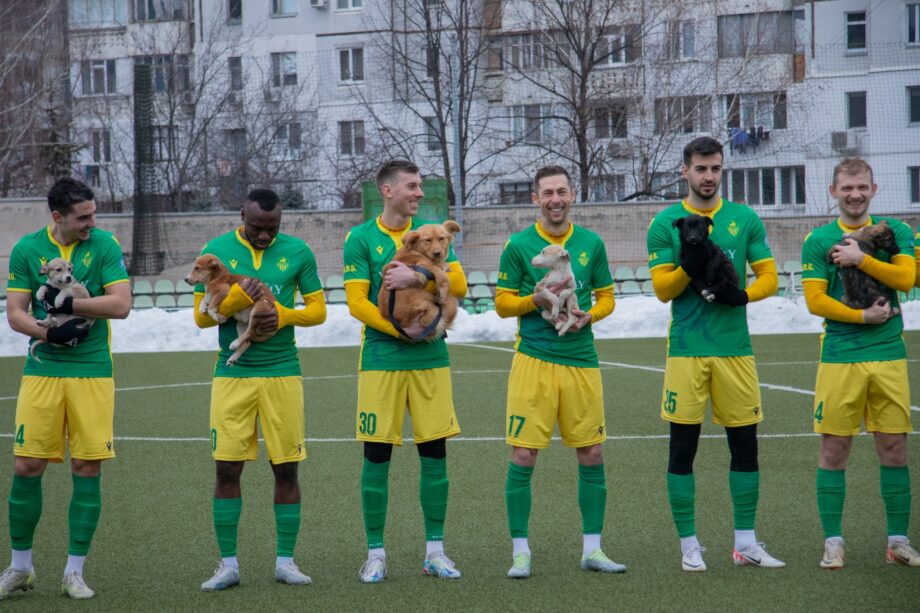 (фото) Молдавские футболисты вышли на поле с бездомными щенками, чтобы найти им семью