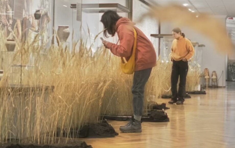 (видео) В Кишинэу открылась выставка под названием «О чем шепчет трава»