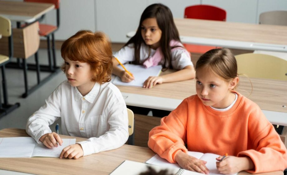 В школах Гагаузии могут начать преподавать больше предметов на румынском, гагаузском, украинском и болгарском языках