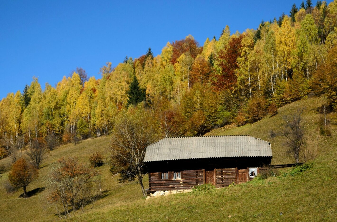 Деревня Пештера<br>