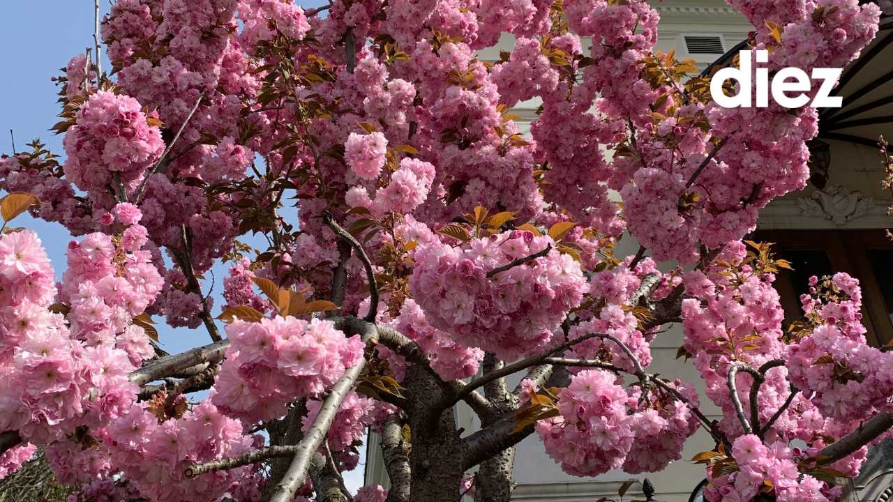 Центральный <br>ЗАГС