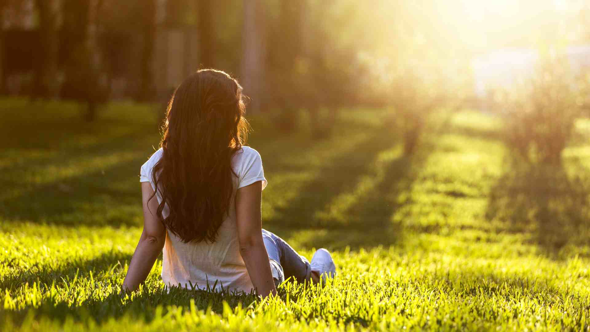natura relax padurea
