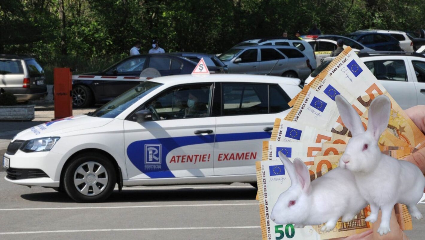 examen-auto