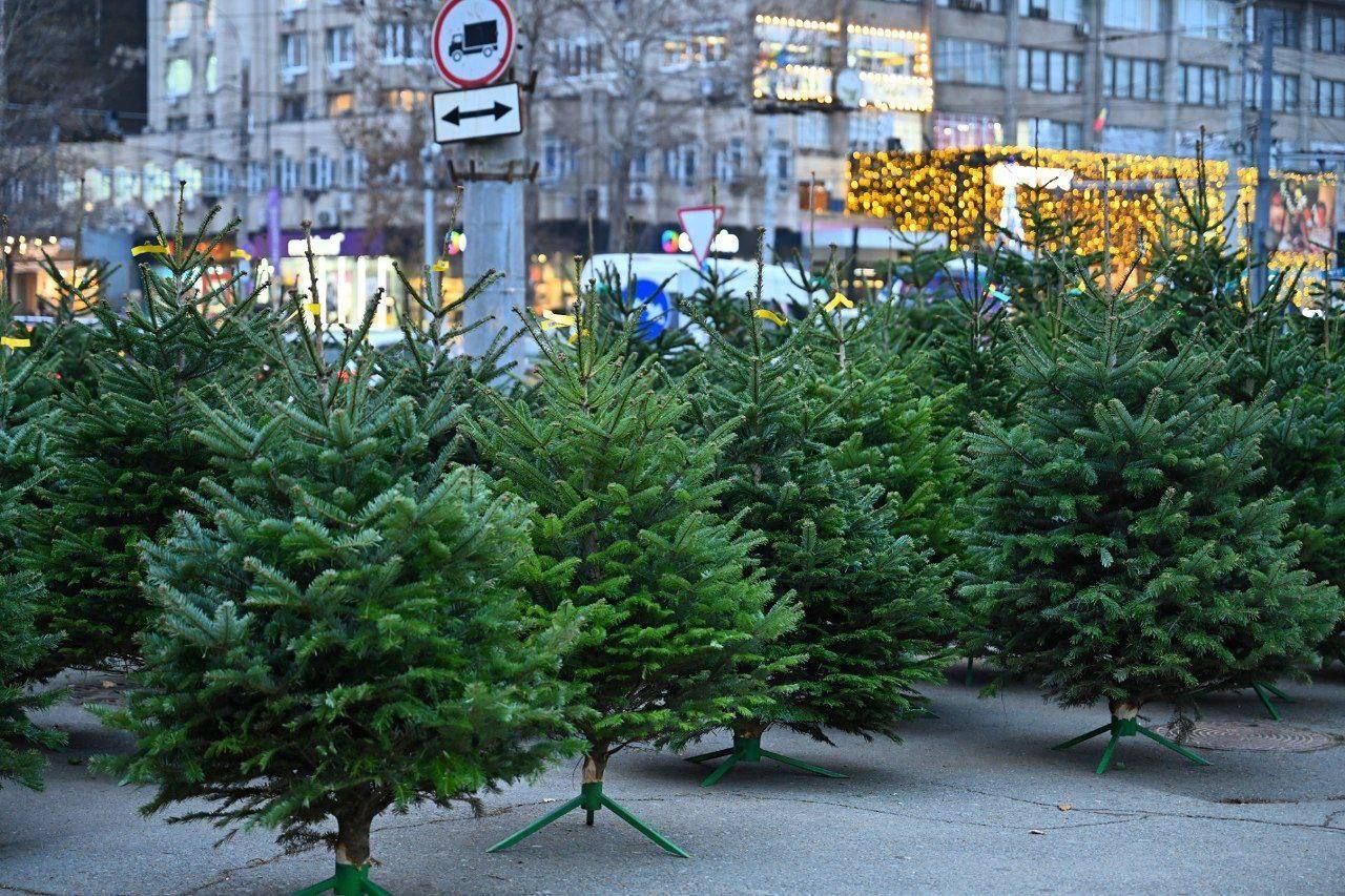 f6d76163-3ed0-493b-b0e9-53f54b09ddaa