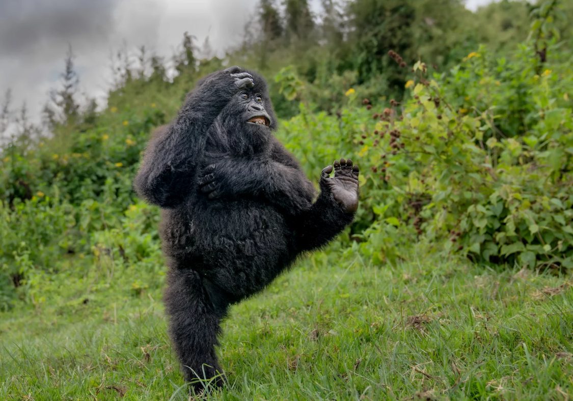 snimok ekrana 2025-12-13 112256