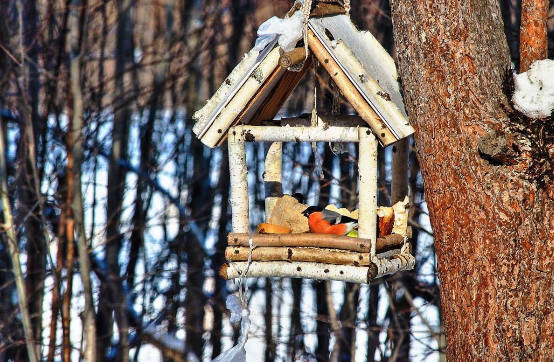 snimok ekrana 2026-01-03 104801