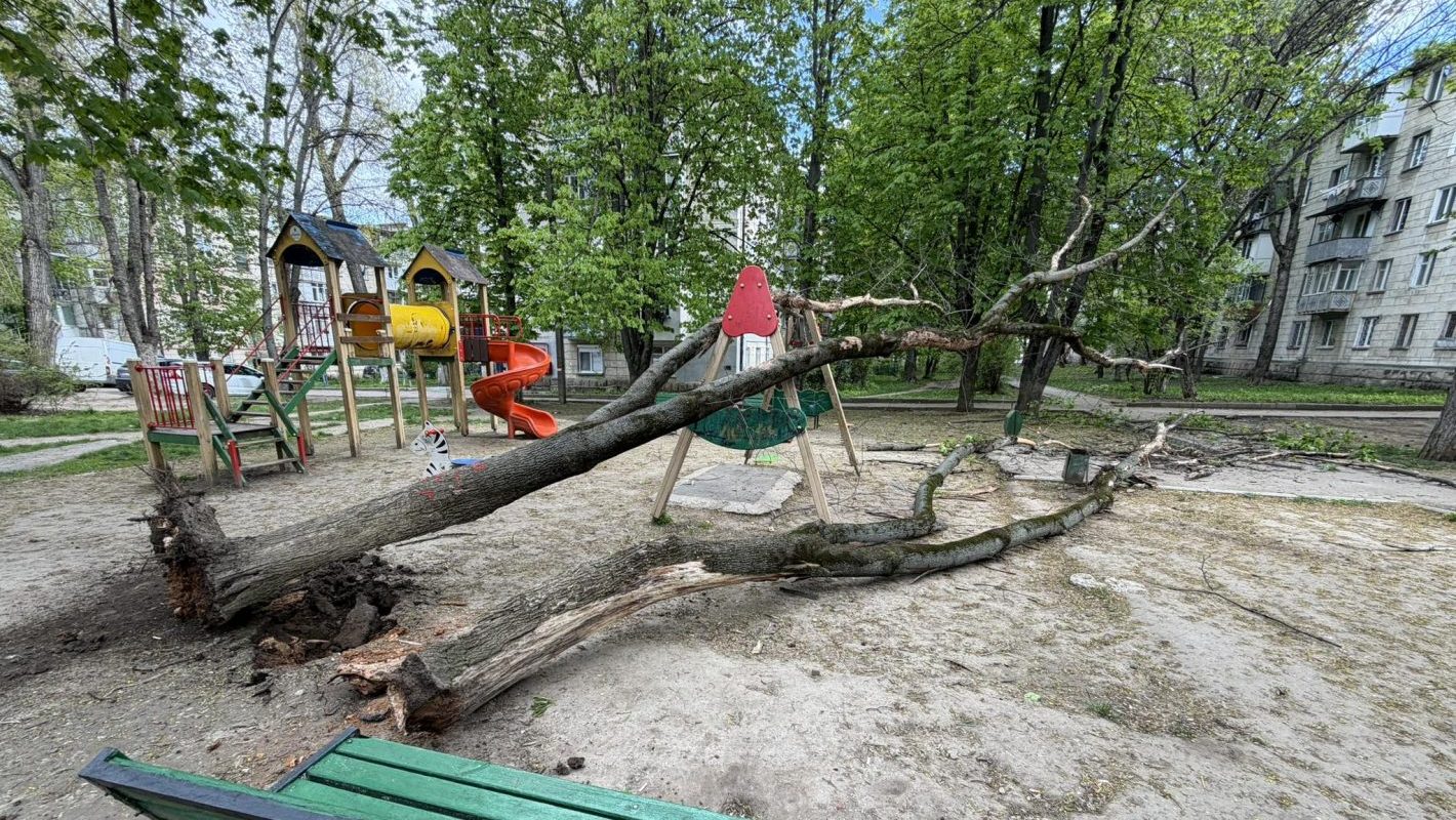 В Кишинэу дерево упало на детскую площадку из-за ветра